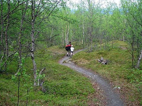 Abisko Juni 2009 dag 4 - 49.jpg